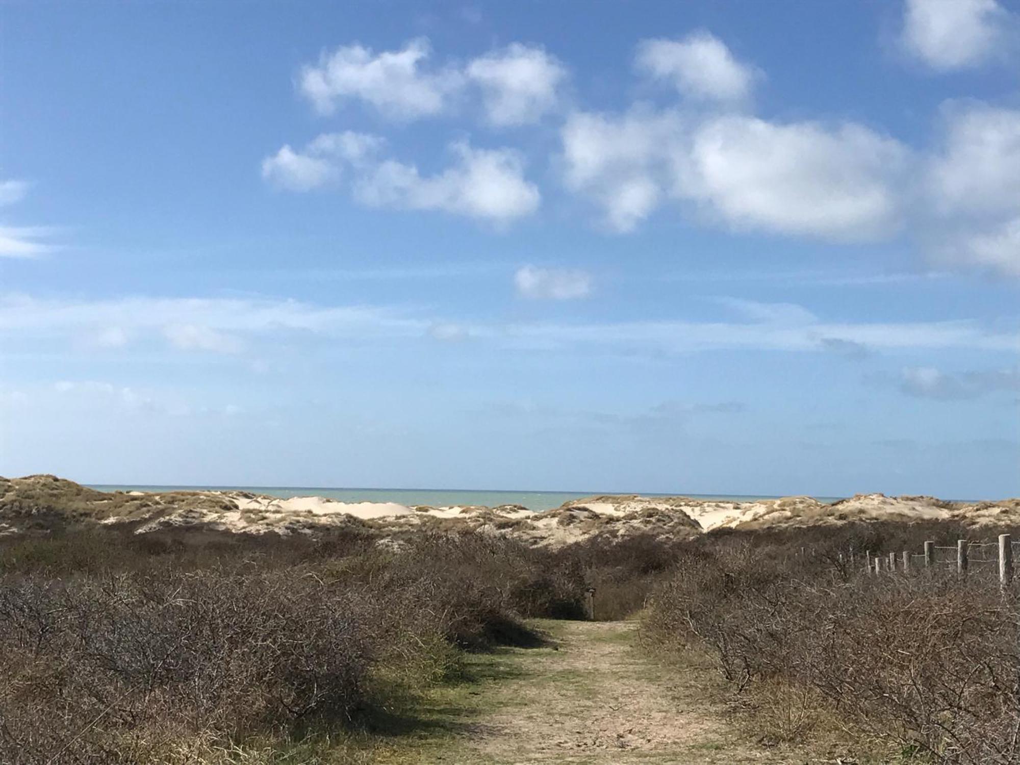 Petale De Rose, Dunes 3 Merlimont-Plage Kültér fotó